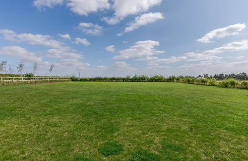 The Stalls - Foto 39