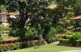 Green Villa Gerês - Foto 45