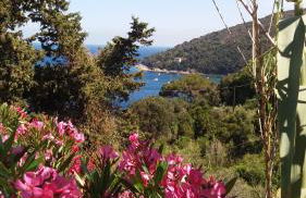 Berenice - Isola D'Elba Apartments - Foto 37