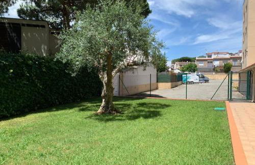 Esperança 13 - Foto 21