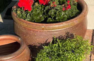 Stilvolles Ferienhaus Chalet 1750 im Allgäu - 200qm - beste Ausstattung - traumhafter Blick - bis 8 Personen - Foto 9