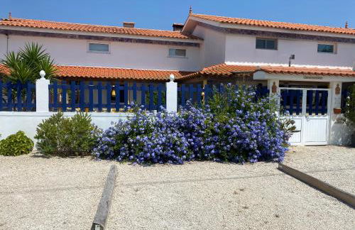 Bico das flores - Foto 70