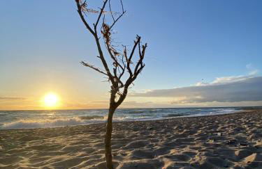 Reetdachhaus Ankerplatz - Foto 33