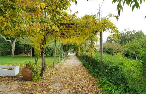 Casa Da Avo Genoveva - Foto 15