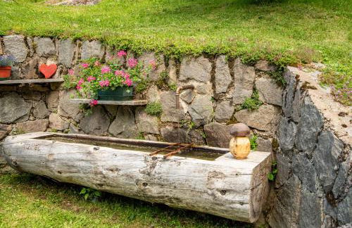 Baita dei Minatori Val dei Mocheni - Foto 38