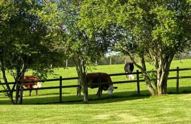 The Granary at Little Howle Farm - Foto 17