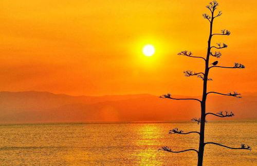 Casa ENCANTOS DEL MAR, La Fabriquilla, Cabo de Gata - Foto 43