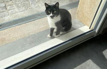 Mas La Resse - Foto 25