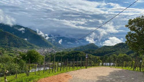 Casa Pracol - Foto 2