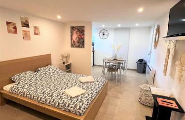 Studio Le Plum'Art, 10mn Zoo de Beauval avec jardin - Foto 1