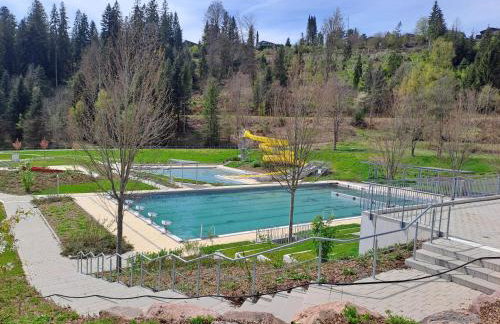 Les Papillons - Foto 20