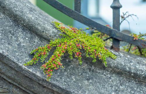 Little Pentower - Photo 25