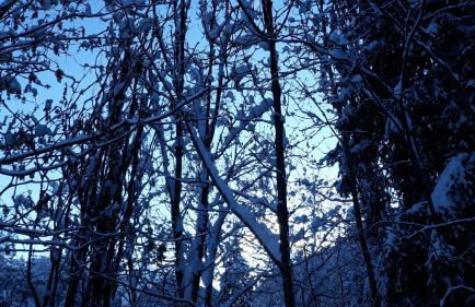 Casa per vacanze degli gnomi - Foto 18