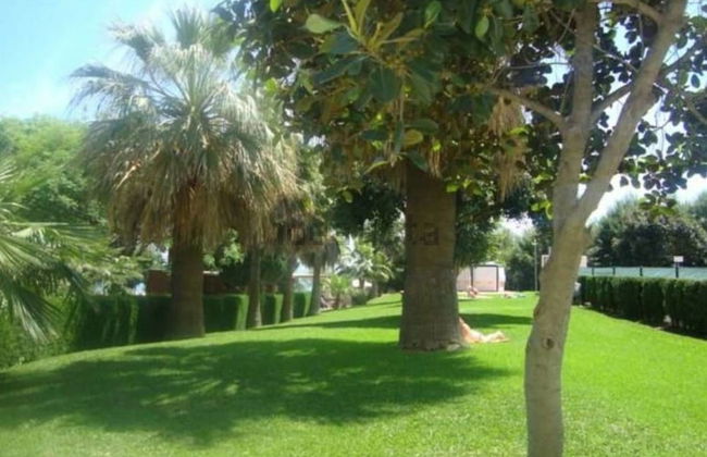 Brise Marine - Foto 19