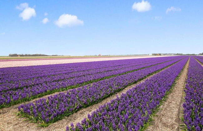 Holiday Home Tuitjenhorn Near Coast - Foto 37