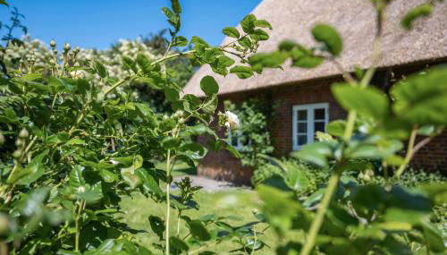 Fewo Silke Dethlefsen - Foto 4