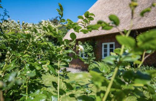 Fewo Silke Dethlefsen - Foto 4