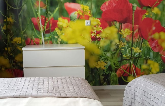 Apartmenthaus Abendsonne - Photo 11