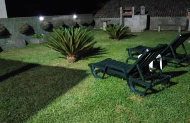 Flor da Natureza - Flor - Photo 13