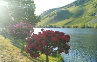 Ferienwohnungen und Gästezimmer Peter Busch - Foto 22
