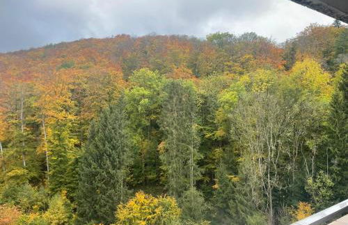 Apartment Beletage Bad Harzburg - Foto 33