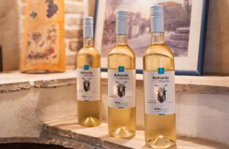 Kapetanova Villa - Photo 27