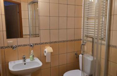 Pensjonat Feliksów - Photo 24