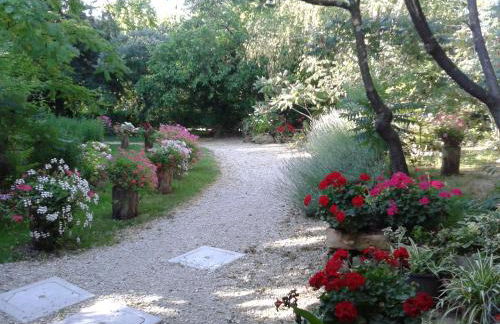 Bosco Romagno - Foto 34