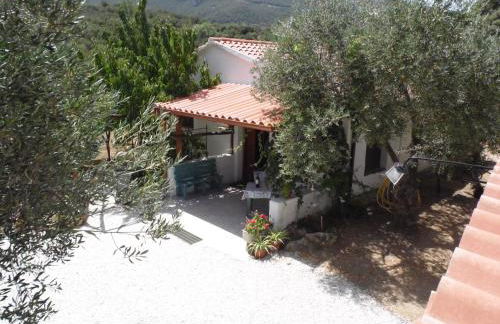 Villa L'Oliveto - Foto 1