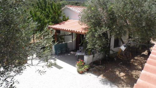 Villa L'Oliveto - Foto 1, Garden view