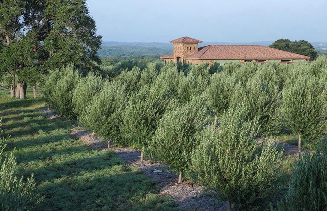 4 2 Firepit hot tub Scenic Views L2 EV Charger - Foto 75