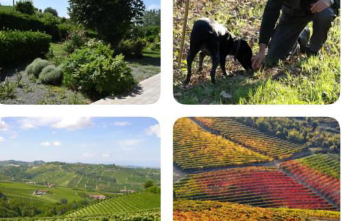 Cascina Albarella - Foto 18