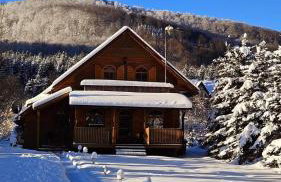 Bieszczadzki Rewir - Foto 34