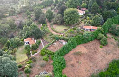 Quinta Das Faias - Foto 20