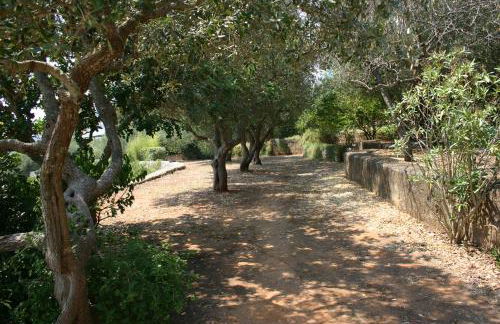 appartamento in villa fortunata 1 - Foto 2