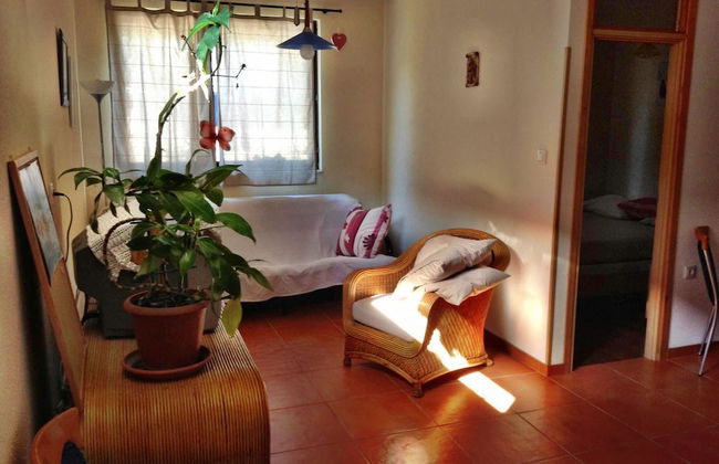 Apartments Ivana Murter - Foto 11