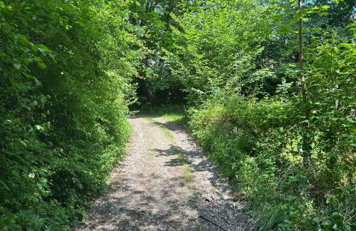 Forest Retreat Nature Residence nahe Köln- 160 m2, 2 Schlafzimmer und Blick ins Naturschutzgebiet - Foto 55