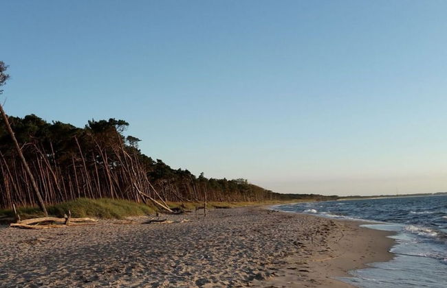 Captain House South Cats 8 - Photo 11