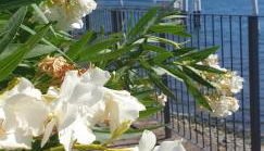 Residence Laguna Beach - Foto 3