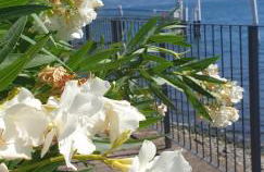 Residence Laguna Beach - Foto 3