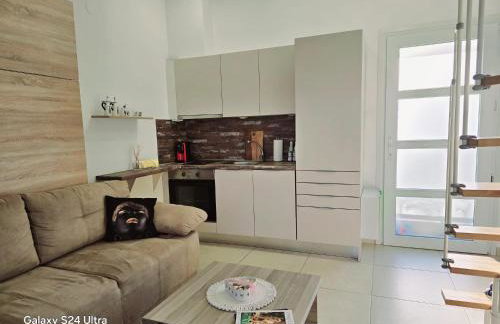 Angelo Apartments - Photo 7