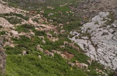Casa Rural el Enebral en Potes Picos de Euopa - Foto 39