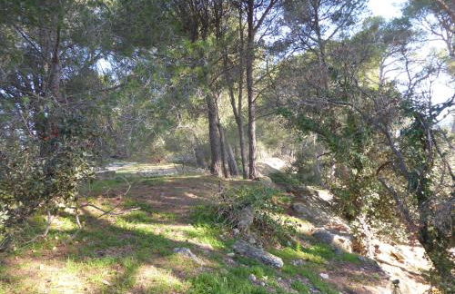 The Panoramic House - Foto 46