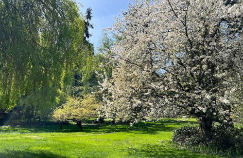 Beach and Bay Access! 5-Acre Whidbey Island Retreat - Foto 41