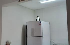 Vai Pra Praia - Enseada Ubatuba - até 6 pessoas - Foto 25