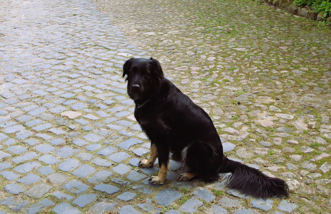 Ferienwohnung im Ferienhof, Dorfmark - Foto 17