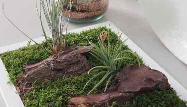 Kora Eco Residence - Foto 4