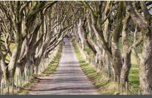 Bessies Cottage - Foto 22