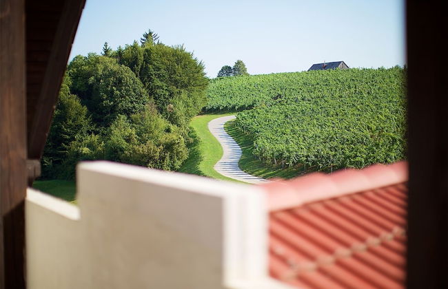 Tourist Farm Lovrec - Foto 61