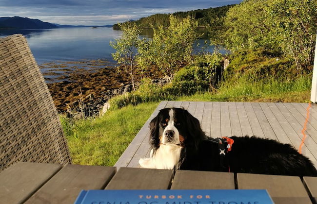 Senja Arctic Lodge AS - Foto 14